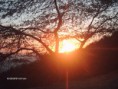 /album/fotogaleria-inicio/hpim1750-jpg/